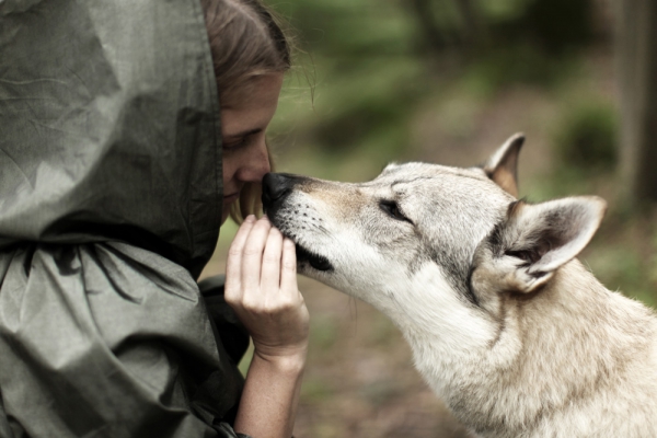 renata vogl women who run with the wolves_No.2