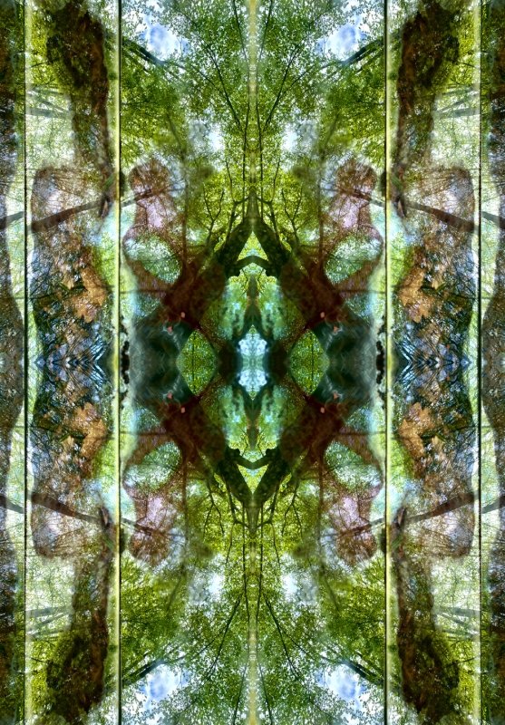 renata hazakova  GAIA- fractal temple NO1