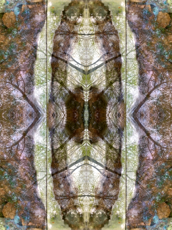 renata hazáková GAIA - fractal temple NO2